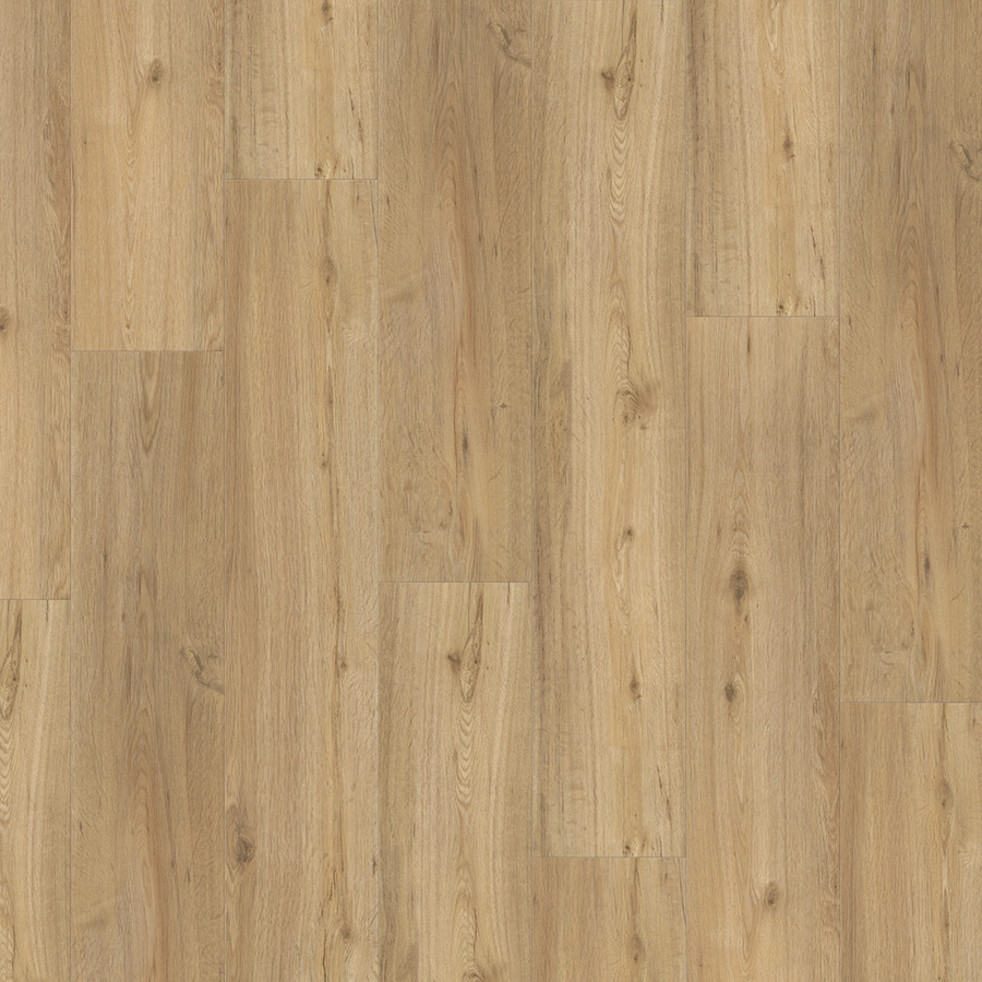 SPC ламінат Parador Basic 5.3 Oak Natural Brushed 1743004 SPC ламінат Parador Basic 5.3 Oak Natural Brushed 1743004